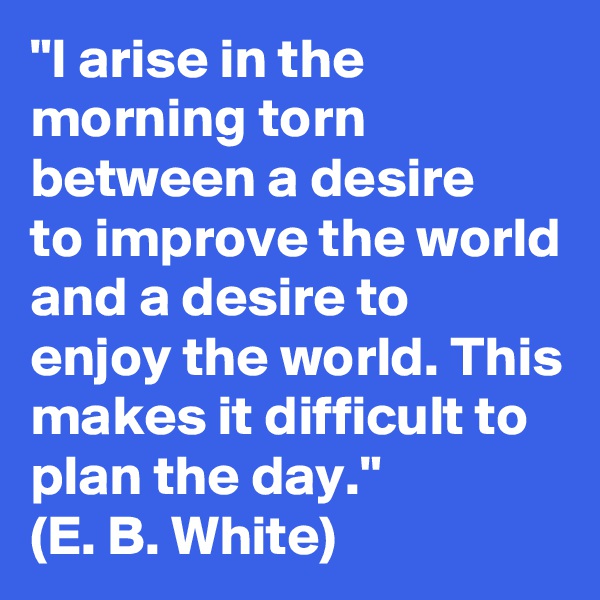 "I arise in the morning torn between a desire      to improve the world and a desire to enjoy the world. This makes it difficult to plan the day."
(E. B. White) 