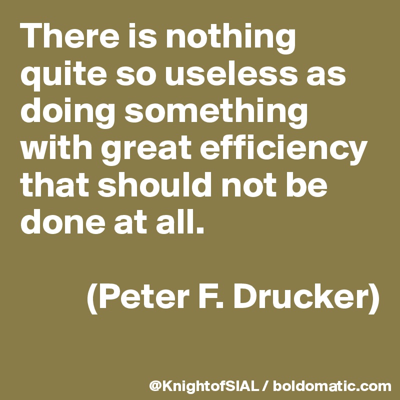 There is nothing quite so useless as doing something with great efficiency that should not be done at all. 

         (Peter F. Drucker)
