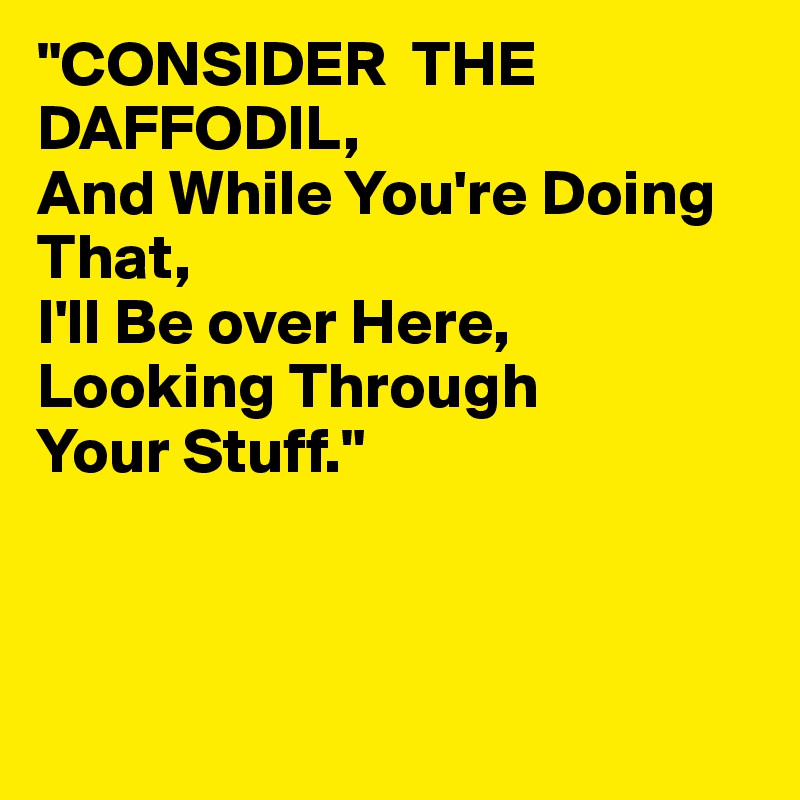 "CONSIDER  THE DAFFODIL,
And While You're Doing That,
I'll Be over Here,
Looking Through
Your Stuff."



