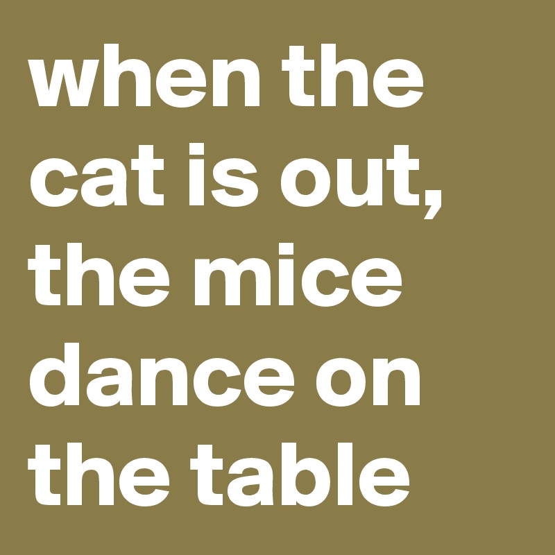 when the cat is out, the mice dance on the table