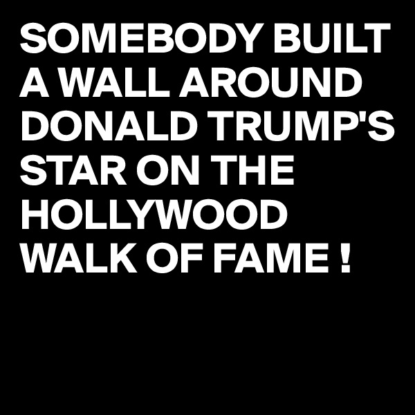 SOMEBODY BUILT A WALL AROUND DONALD TRUMP'S STAR ON THE HOLLYWOOD WALK OF FAME !

 