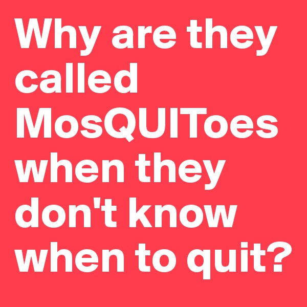 Why are they called MosQUIToes when they don't know when to quit?