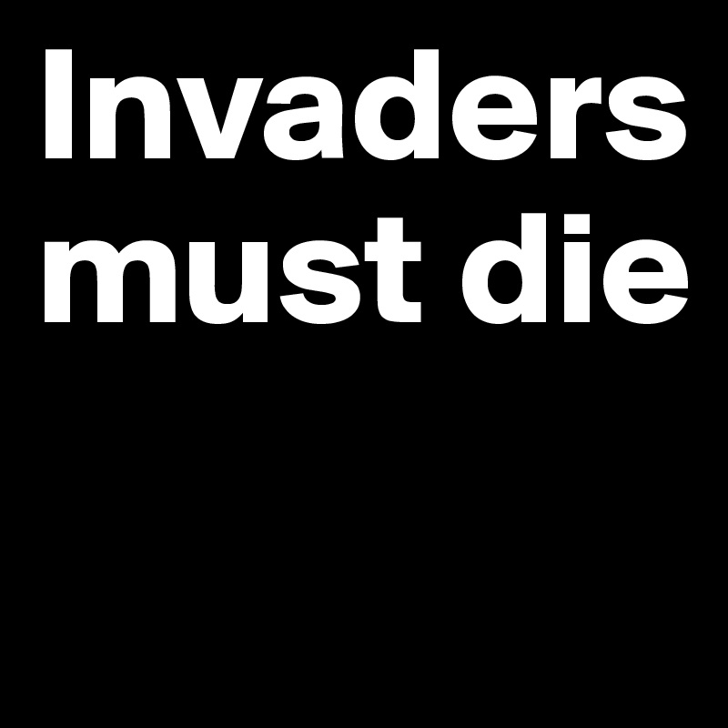 Invaders must die
