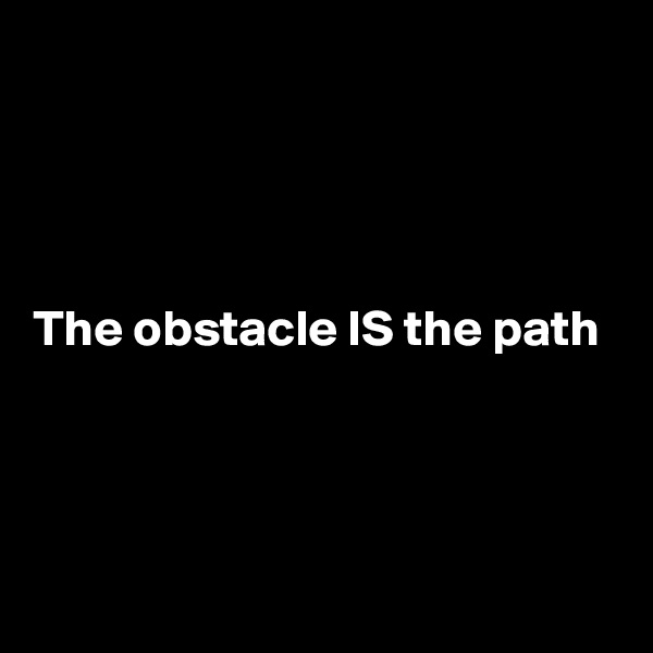 




The obstacle IS the path



