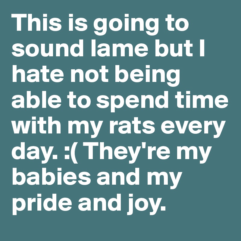This is going to sound lame but I hate not being able to spend time with my rats every day. :( They're my babies and my pride and joy. 