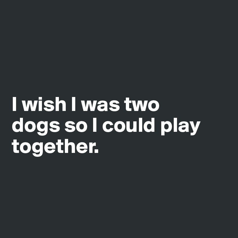 



I wish I was two 
dogs so I could play together. 


