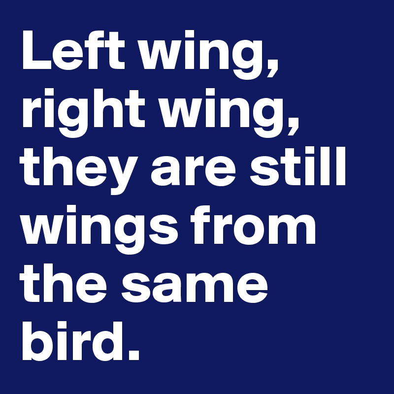 Left wing, right wing, they are still wings from the same bird.
