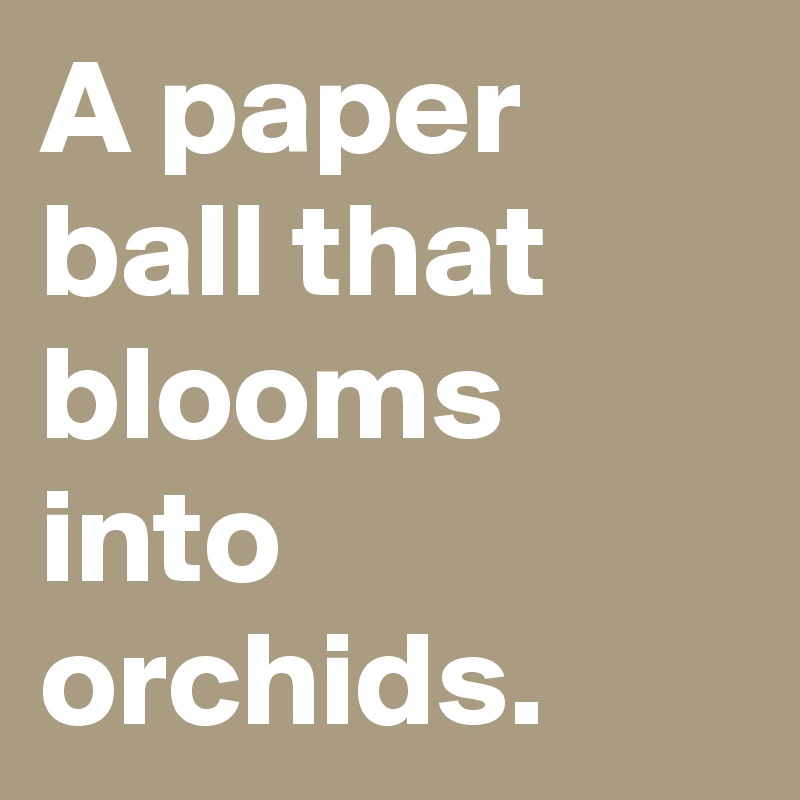 A paper ball that blooms into orchids.