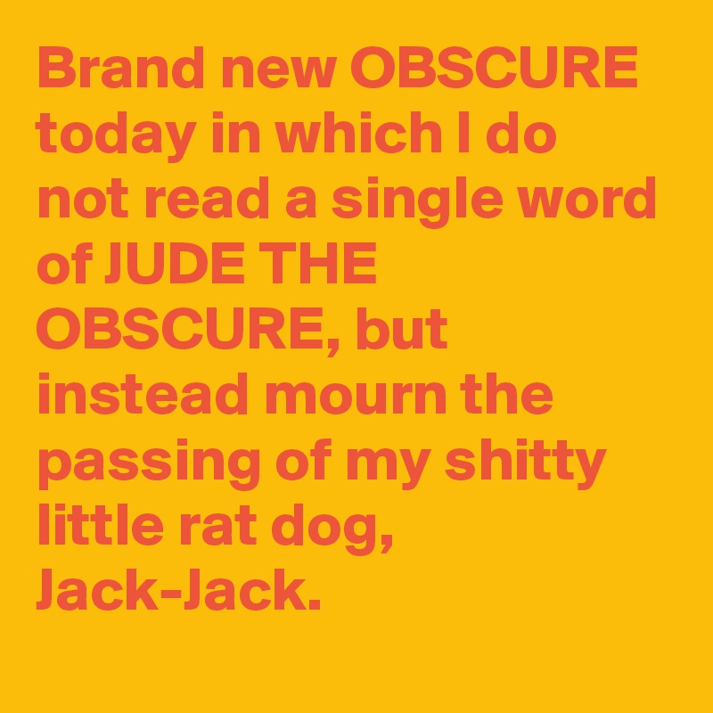 Brand new OBSCURE today in which I do not read a single word of JUDE THE OBSCURE, but instead mourn the passing of my shitty little rat dog, Jack-Jack.