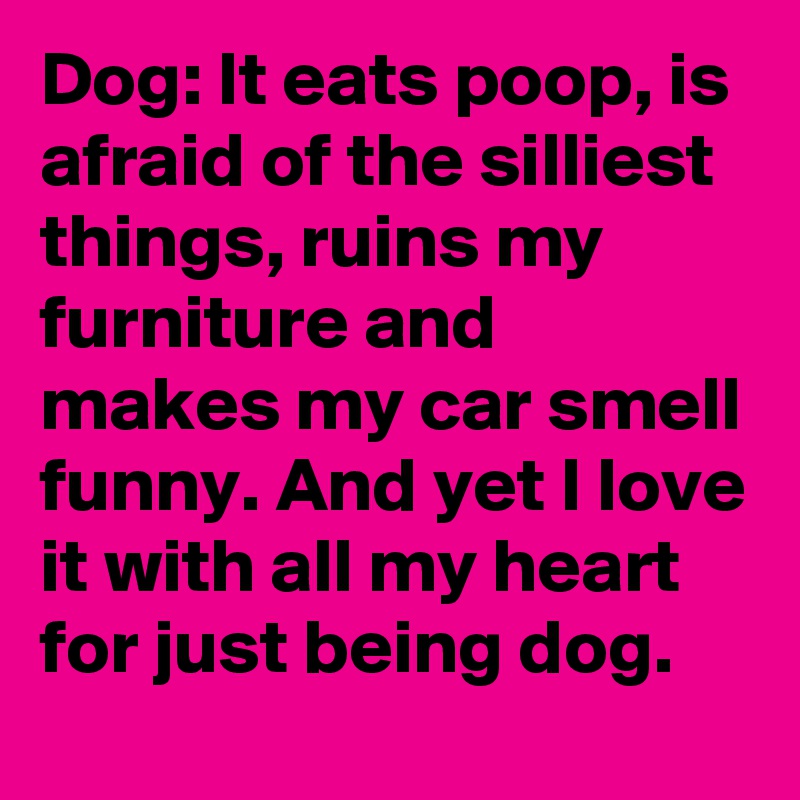 Dog: It eats poop, is afraid of the silliest things, ruins my furniture and makes my car smell funny. And yet I love it with all my heart for just being dog.