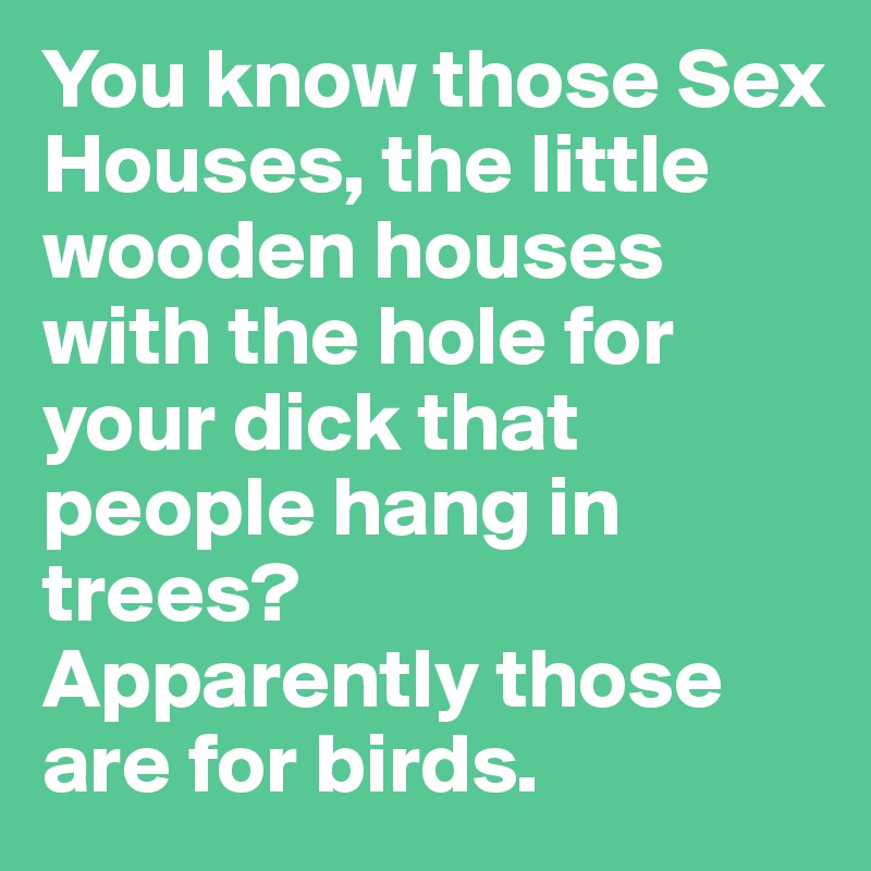 You know those Sex Houses, the little wooden houses with the hole for your dick that people hang in trees? 
Apparently those are for birds.