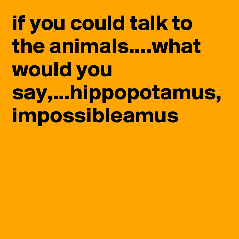 if you could talk to the animals....what would you say,...hippopotamus, impossibleamus
