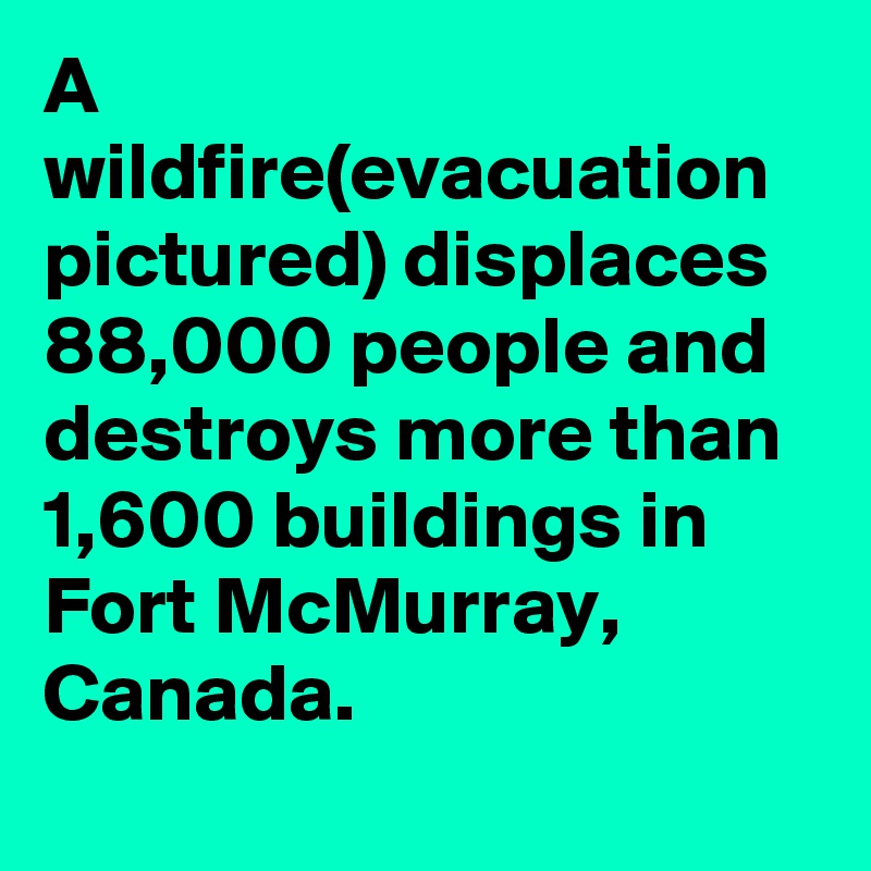 A wildfire(evacuation pictured) displaces 88,000 people and destroys more than 1,600 buildings in Fort McMurray, Canada.