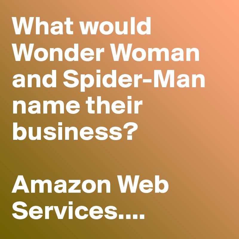 What would Wonder Woman and Spider-Man name their business?

Amazon Web Services....