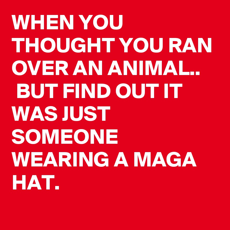 WHEN YOU THOUGHT YOU RAN OVER AN ANIMAL..
 BUT FIND OUT IT WAS JUST SOMEONE WEARING A MAGA HAT.
