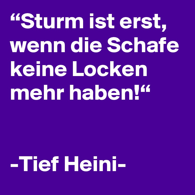 Sturm Ist Erst Wenn Die Schafe