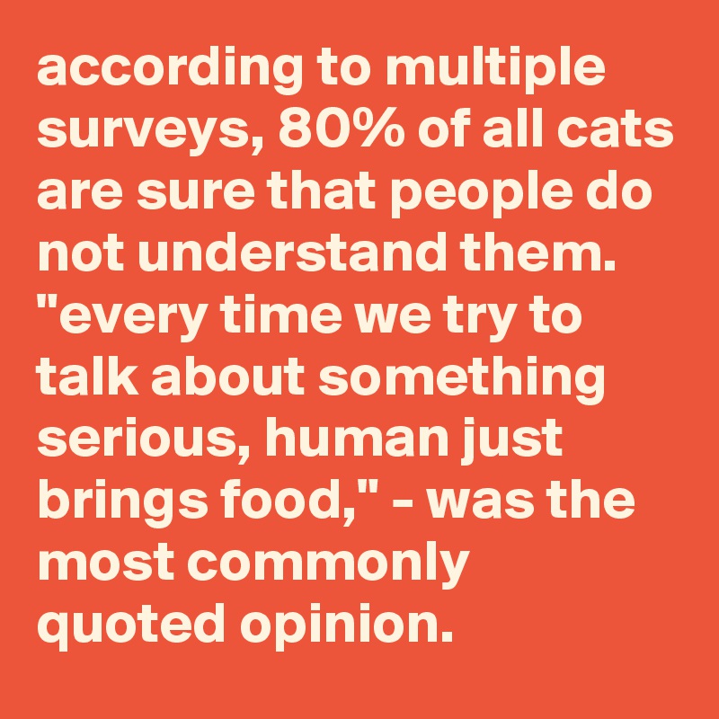 According To Multiple Surveys, 80% Of All Cats Are Sure That People Do 