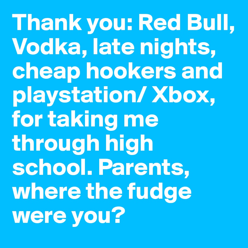 Thank you: Red Bull, Vodka, late nights, cheap hookers and playstation/ Xbox, for taking me through high school. Parents, where the fudge were you?