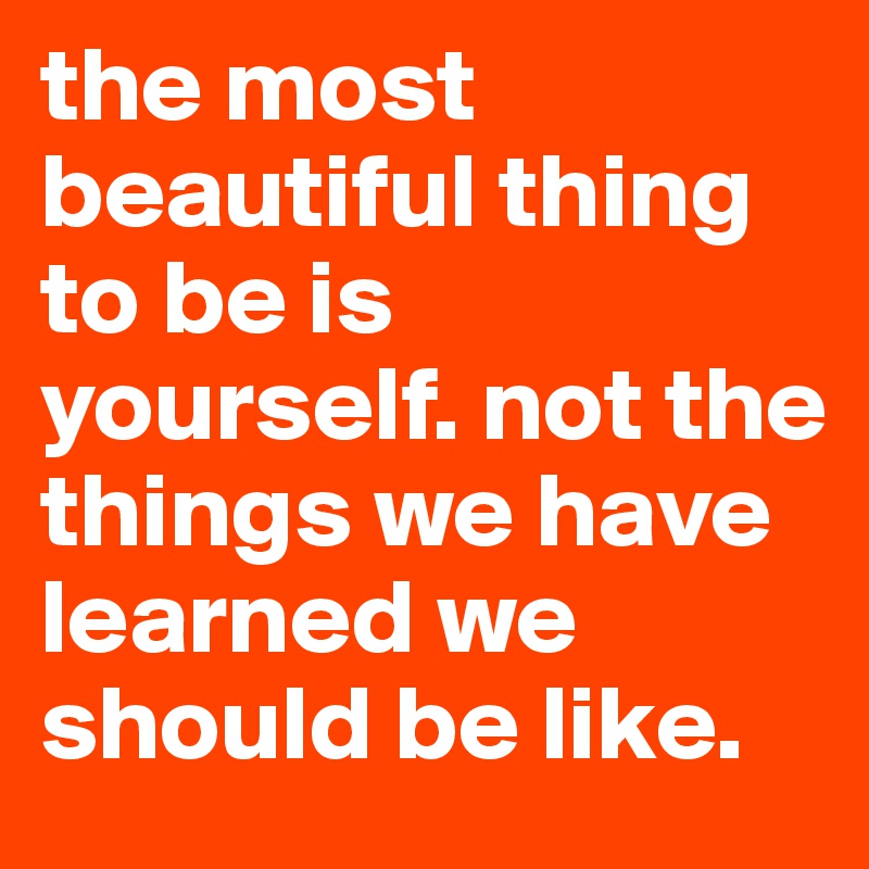 the most beautiful thing to be is yourself. not the things we have learned we should be like.