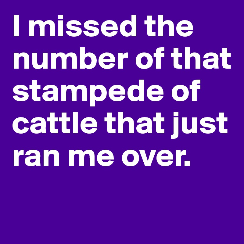 I missed the number of that stampede of cattle that just ran me over. 
