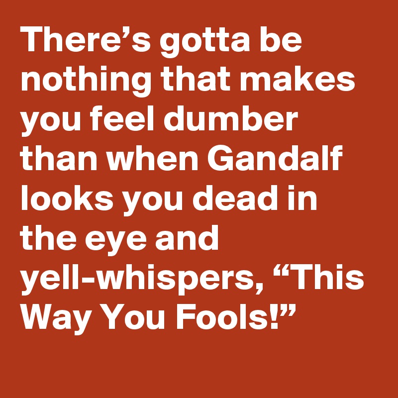 There’s gotta be nothing that makes you feel dumber than when Gandalf looks you dead in the eye and yell-whispers, “This Way You Fools!”