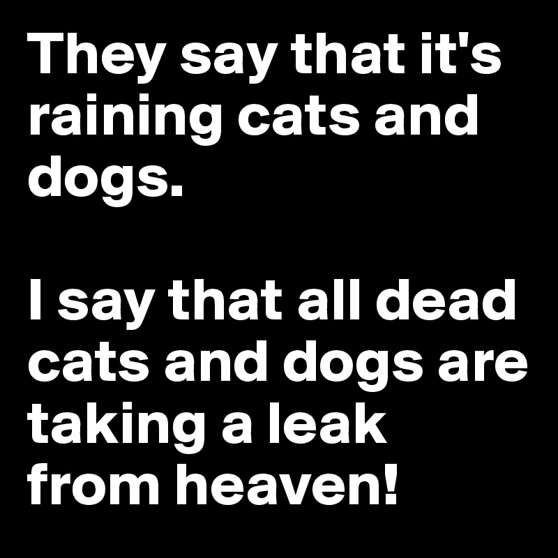 They say that it's raining cats and dogs. 

I say that all dead cats and dogs are taking a leak from heaven! 