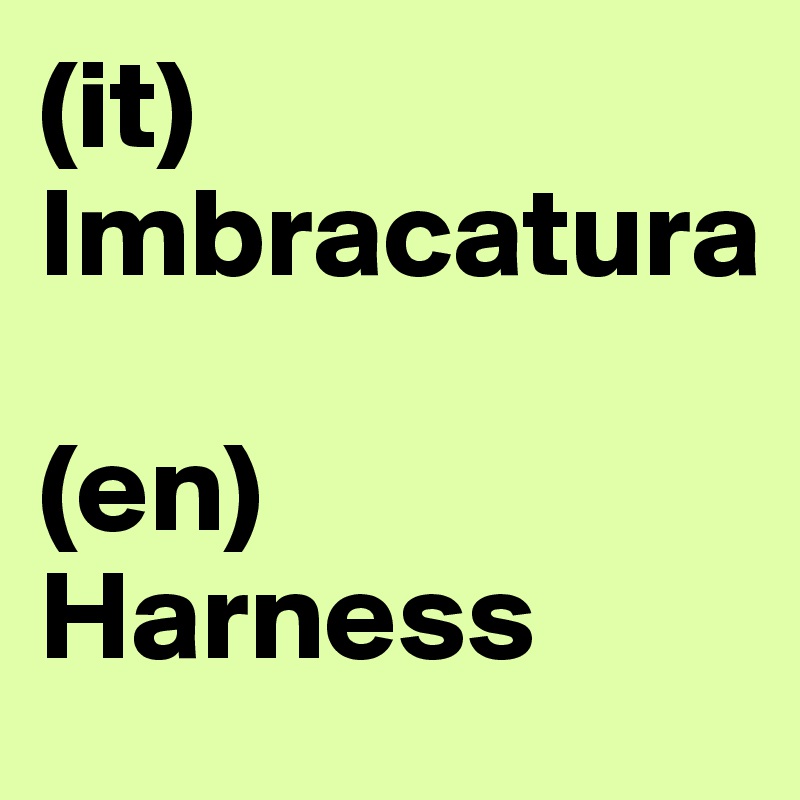 (it)
Imbracatura

(en)
Harness