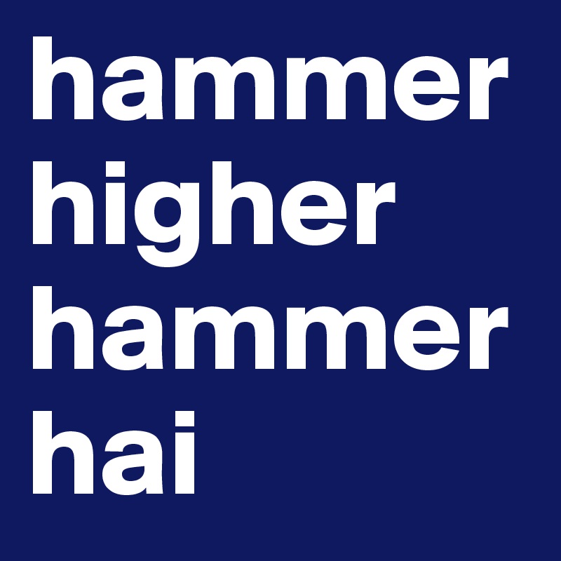 hammerhigher hammer hai