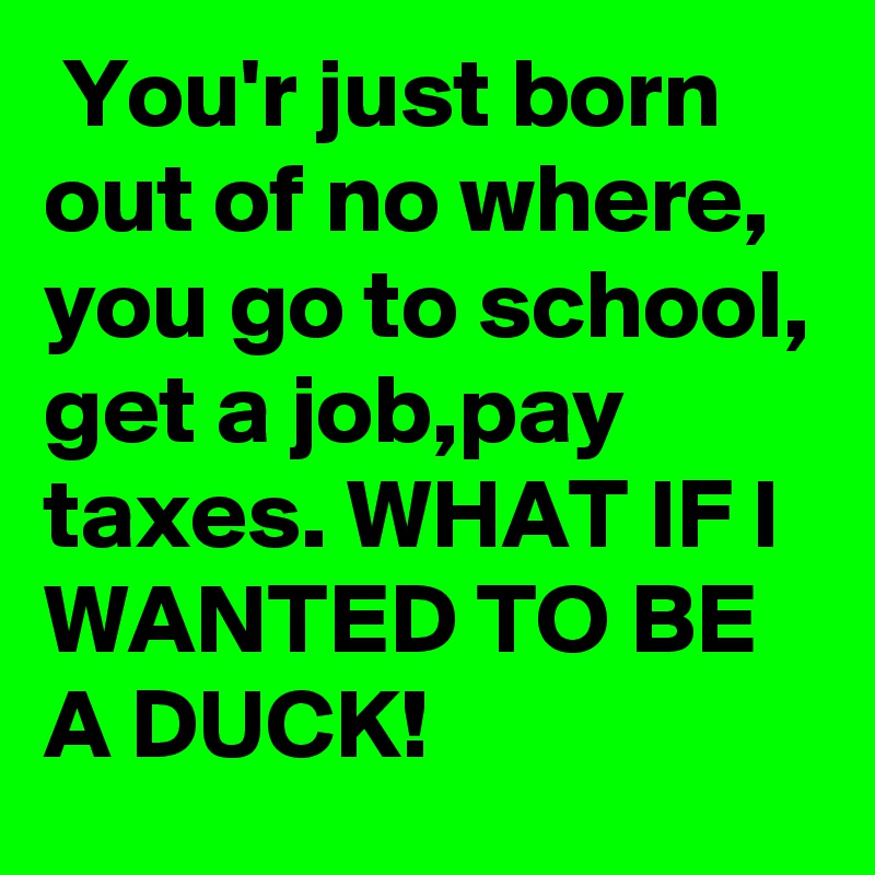  You'r just born out of no where, you go to school, get a job,pay taxes. WHAT IF I WANTED TO BE A DUCK!