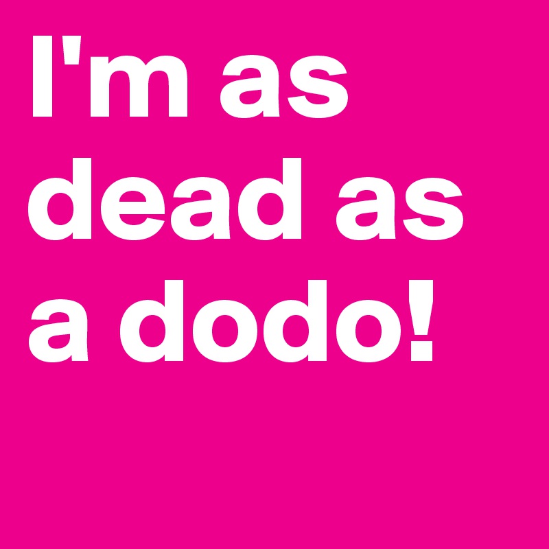 I'm as dead as a dodo! 
