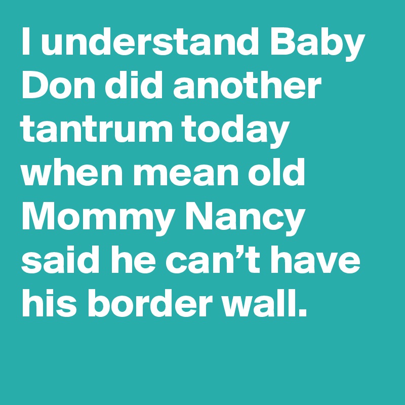 I understand Baby Don did another tantrum today when mean old Mommy Nancy said he can’t have his border wall.