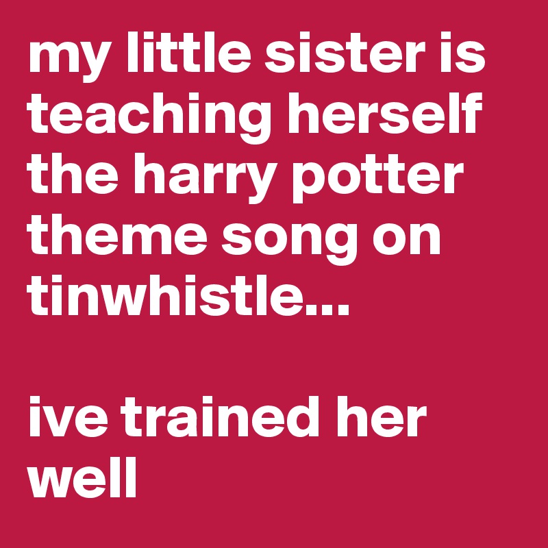 my little sister is teaching herself the harry potter theme song on tinwhistle...

ive trained her well