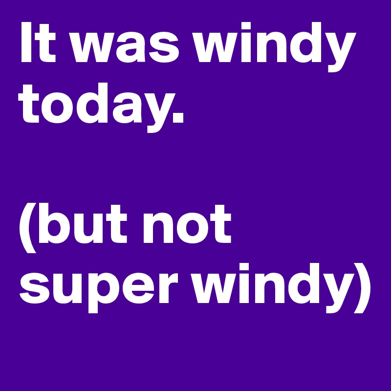 It was windy today. 

(but not super windy)