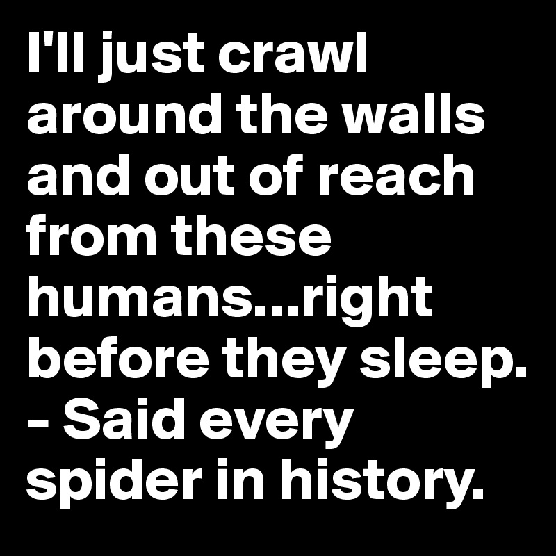 I'll just crawl around the walls and out of reach from these humans...right before they sleep. - Said every spider in history.