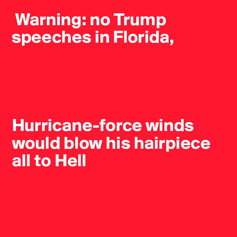  Warning: no Trump speeches in Florida,




Hurricane-force winds would blow his hairpiece all to Hell


