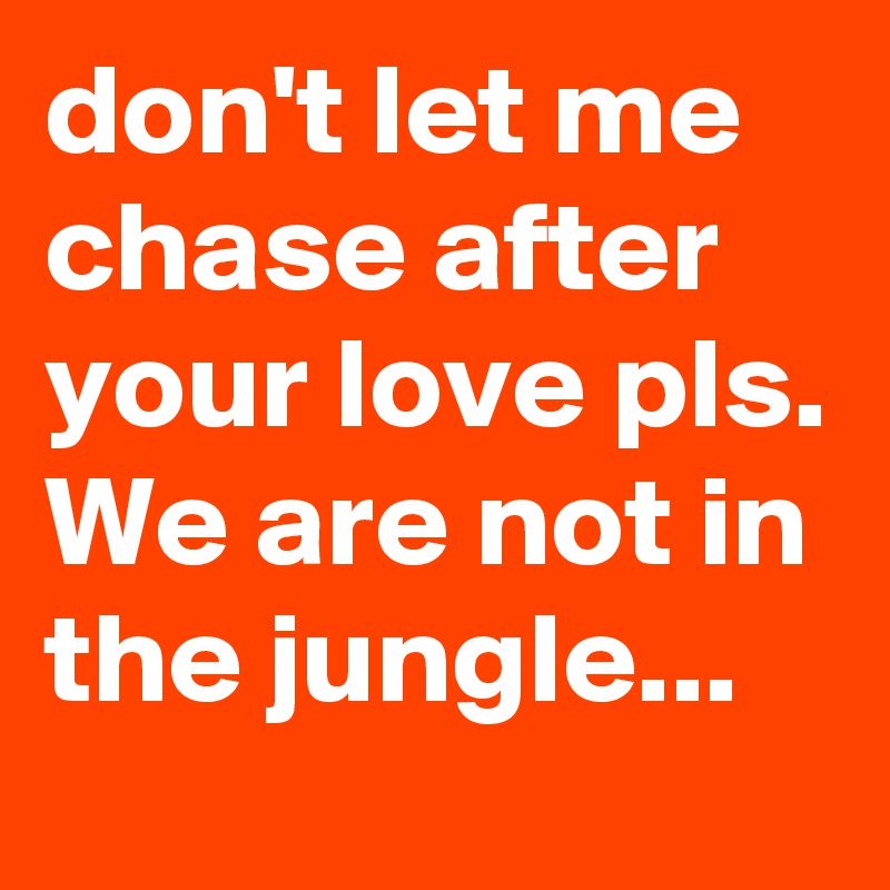 don't let me chase after your love pls. We are not in the jungle...