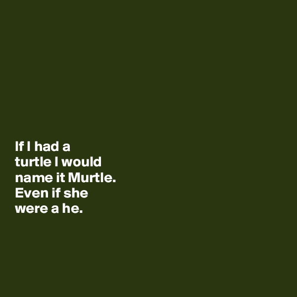







If I had a 
turtle I would 
name it Murtle. 
Even if she 
were a he. 



