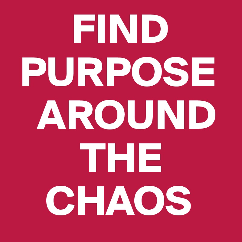        FIND  
 PURPOSE 
   AROUND 
        THE 
    CHAOS