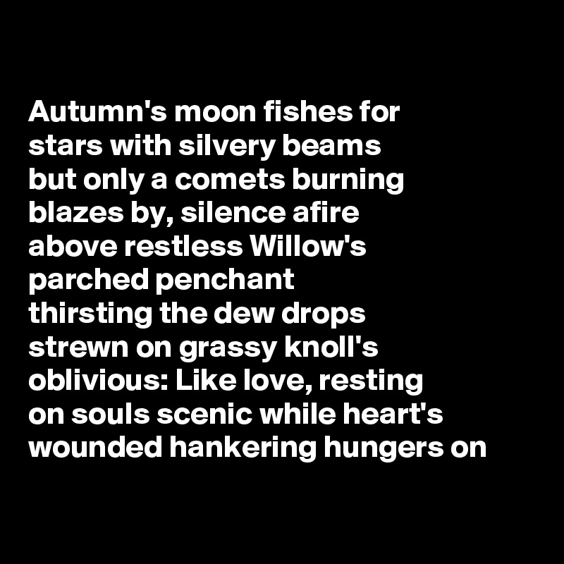 

Autumn's moon fishes for
stars with silvery beams
but only a comets burning
blazes by, silence afire
above restless Willow's
parched penchant
thirsting the dew drops
strewn on grassy knoll's
oblivious: Like love, resting
on souls scenic while heart's
wounded hankering hungers on

