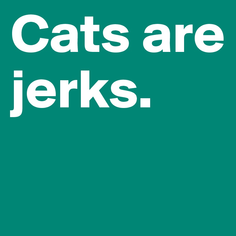 Cats are jerks. 
