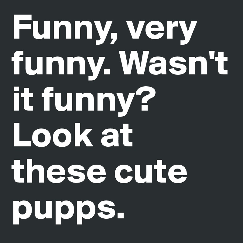 Funny, very funny. Wasn't it funny? Look at these cute pupps. 