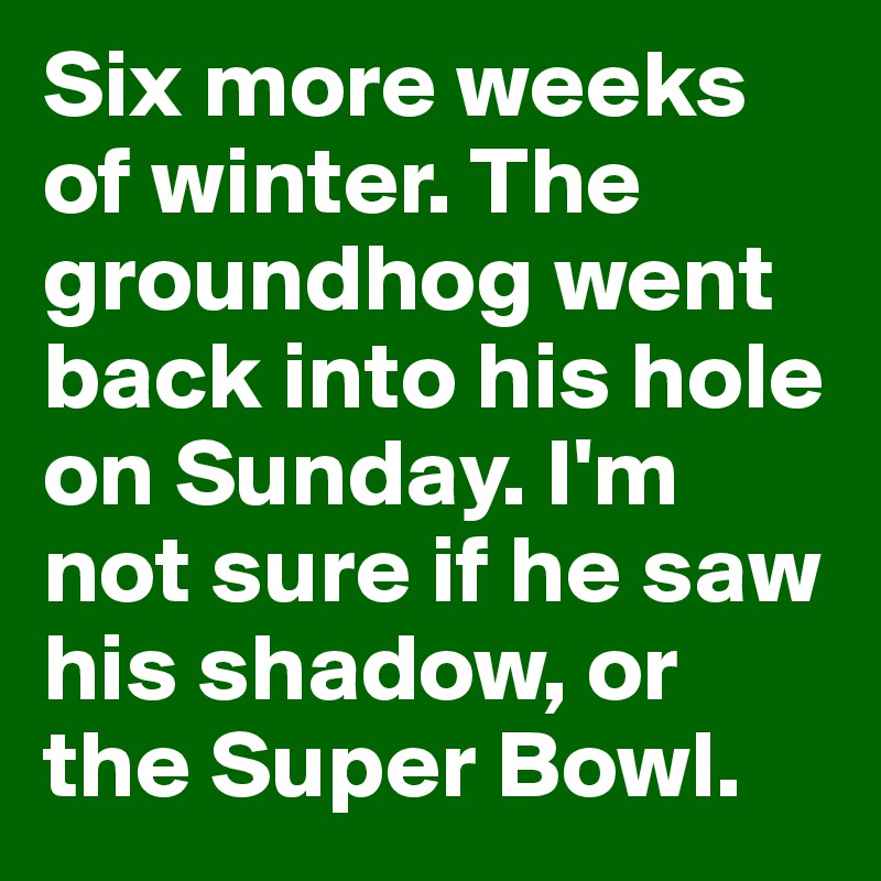 Six more weeks of winter. The groundhog went back into his hole on Sunday. I'm not sure if he saw his shadow, or the Super Bowl. 