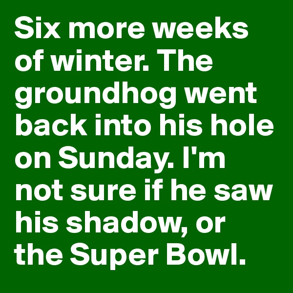 Six more weeks of winter. The groundhog went back into his hole on Sunday. I'm not sure if he saw his shadow, or the Super Bowl. 