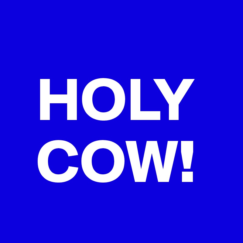 
  HOLY
  COW!