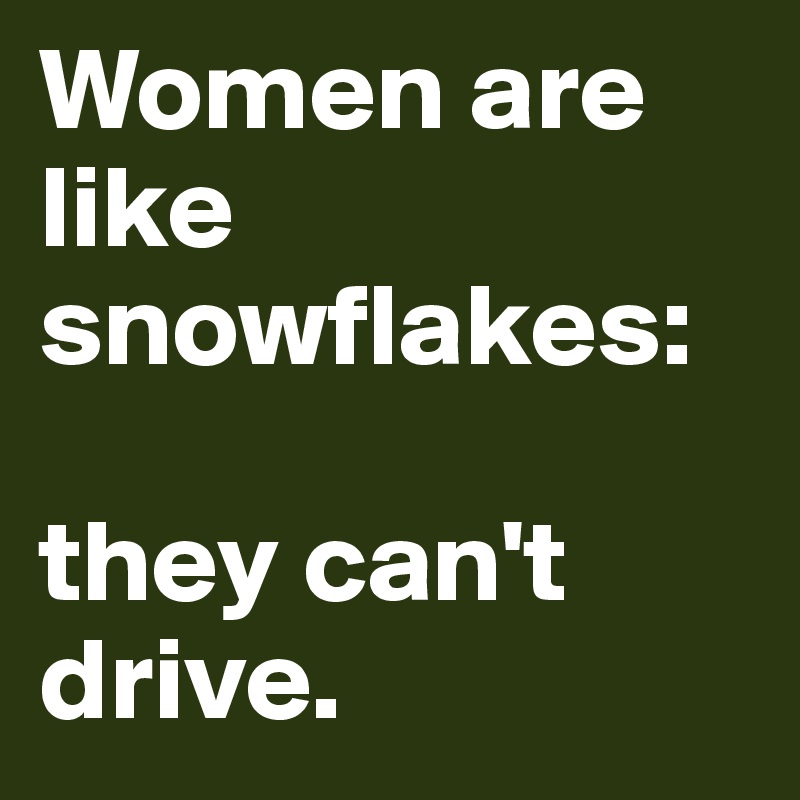 Women are like snowflakes: 

they can't drive.