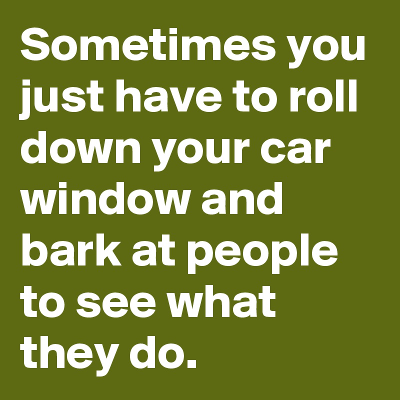 Sometimes you just have to roll down your car window and bark at people to see what they do.