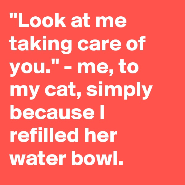 "Look at me taking care of you." - me, to my cat, simply because I refilled her water bowl.