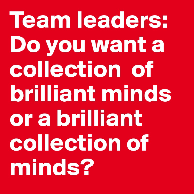 Team leaders: Do you want a collection  of brilliant minds or a brilliant collection of minds?