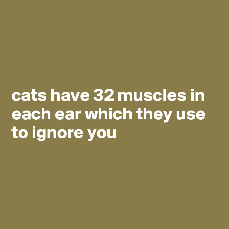 



cats have 32 muscles in each ear which they use to ignore you



