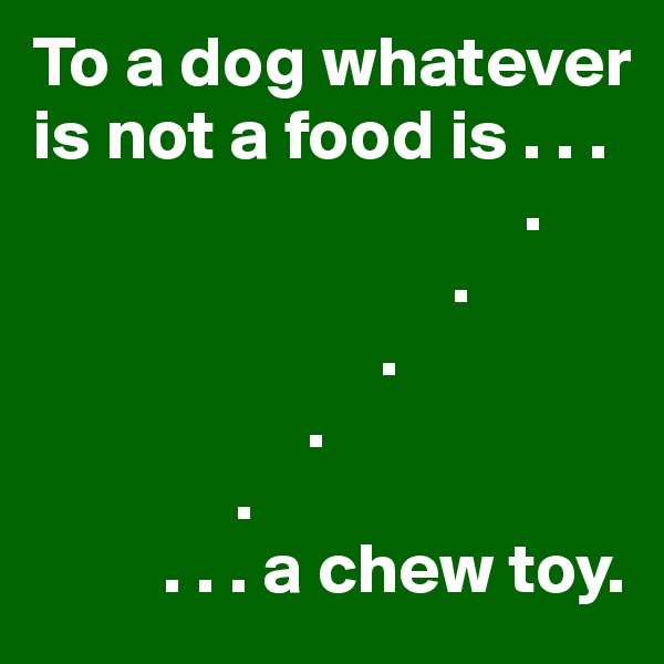 To a dog whatever
is not a food is . . .
                                  .
                             .
                        .
                   .
              .
         . . . a chew toy.